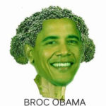 "Broc Obama" from greenupgrader.com