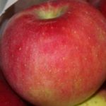 The Apple Reinvestment Plan