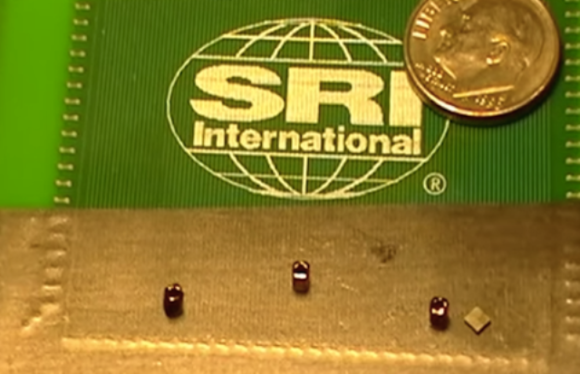 A Swarm of Ant-Sized Robots, at Your Service