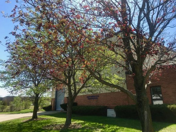 To Spray or Not To Spray? used machine business graff pinkert with apple trees